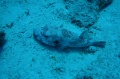 DSC01500