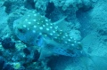 DSC01565