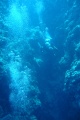 DSC01584