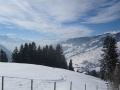 IMG_1501