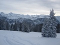 IMG_1510