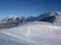 IMG_1524