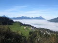 IMG_2021