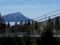 SDC14494