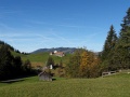 SDC14496