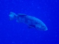 IMG_0124