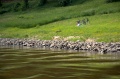DSC_0285.NEF