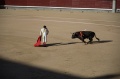 DSC_0384.NEF