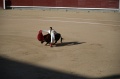 DSC_0386.NEF