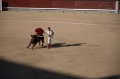 DSC_0387.NEF