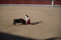 DSC_0390.NEF