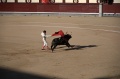 DSC_0392.NEF