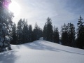 IMG_2461