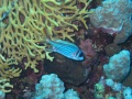 IMG_0450
