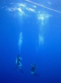 IMG_0578