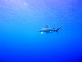 IMG_0721