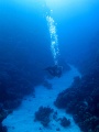 IMG_0787