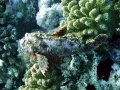 P1010777