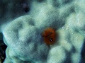 P1020104