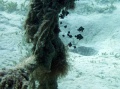 P1020151