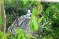 P1110003
