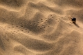 P1020585