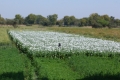 P1020752