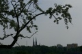 P1110147