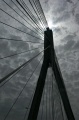P1110204