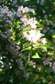P1110226